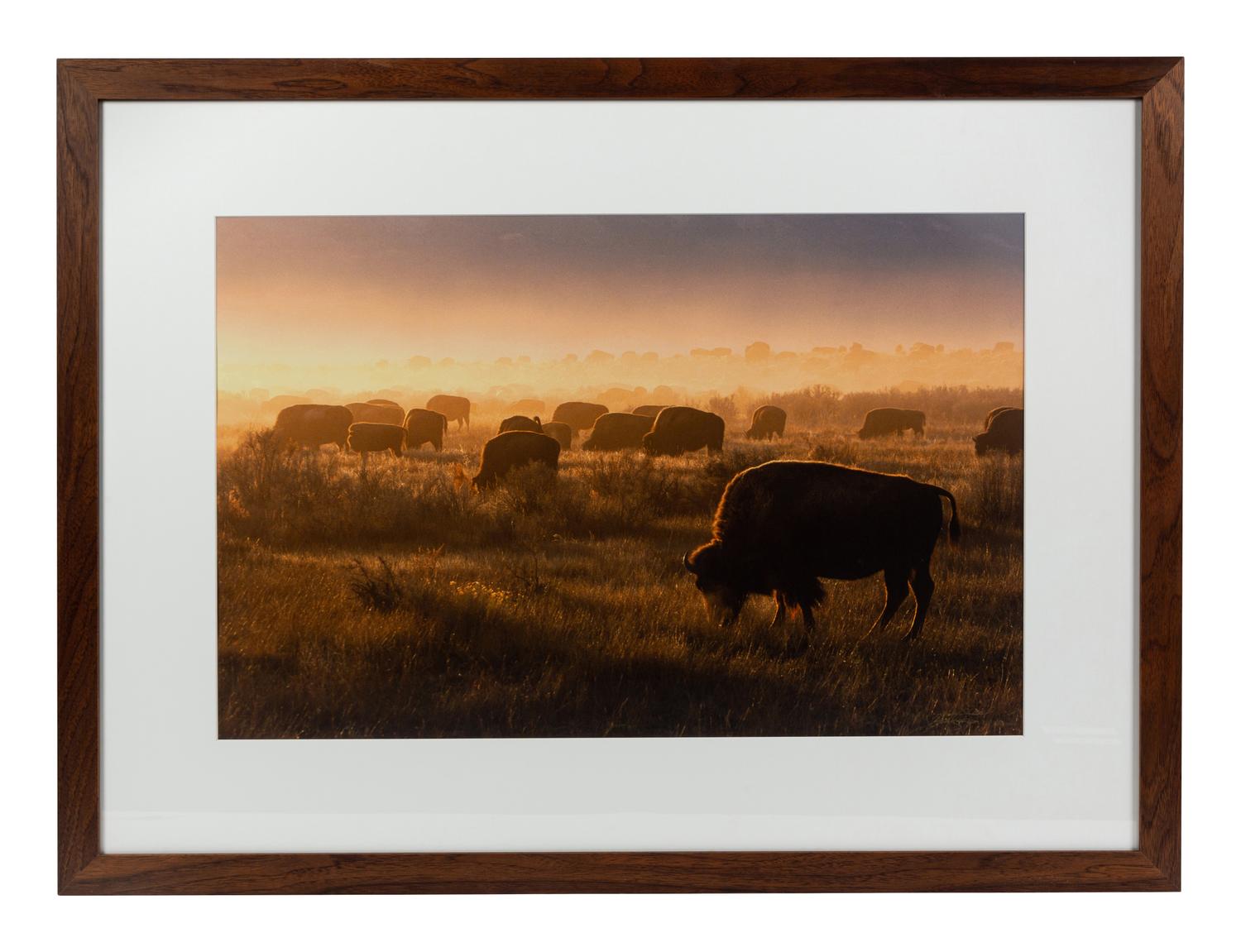 Prairie Vision: Images from a Sea of Grass (2002) Twenty Color Photographs