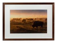 Prairie Vision: Images from a Sea of Grass (2002) Twenty Color Photographs
