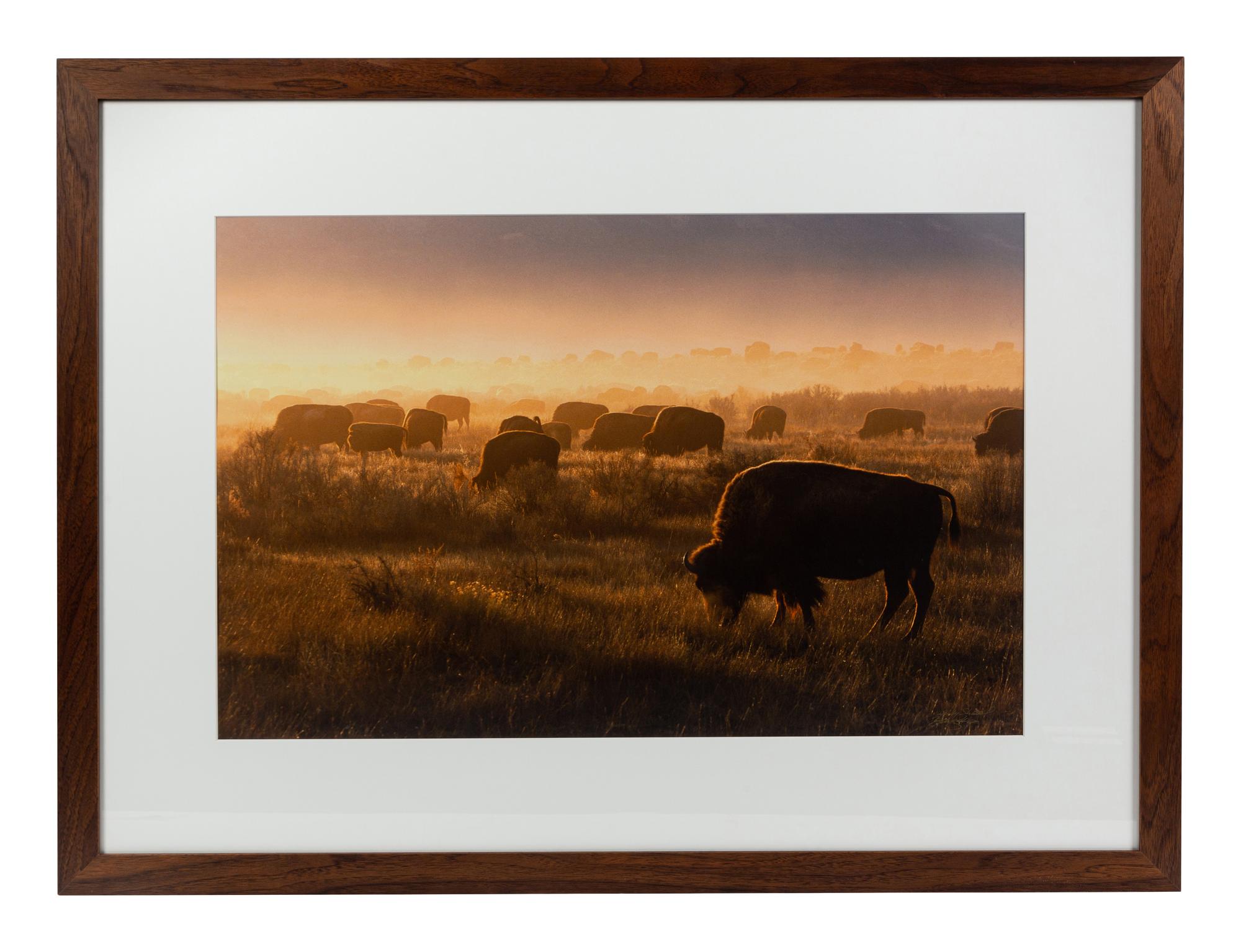 Prairie Vision: Images from a Sea of Grass (2002) Twenty Color Photographs