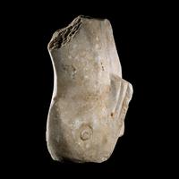 A Roman Marble Support Fragment in the form of a Dolphin