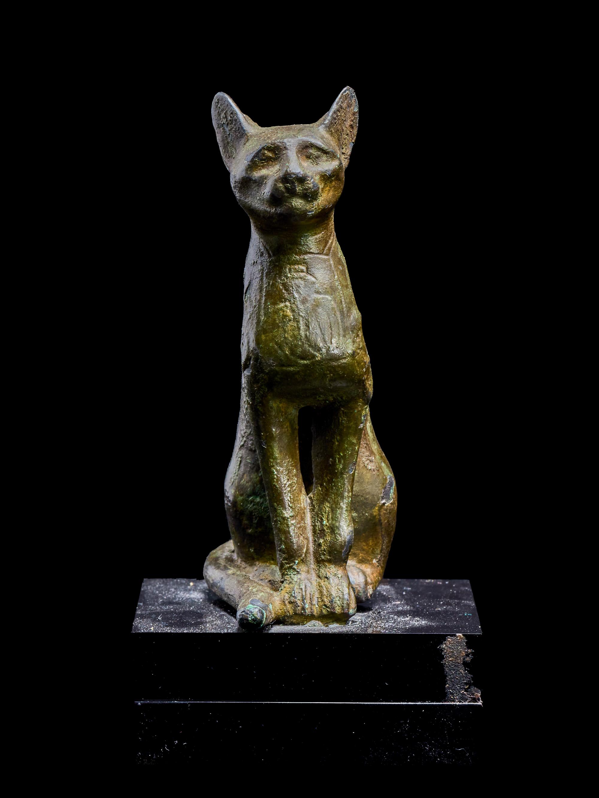 An Egyptian Bronze Seated Cat
