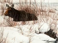 Streamside Encounter , 2002