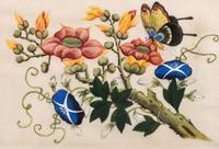 Three Chinese Pith Paintings of Butterflies and Flowers
