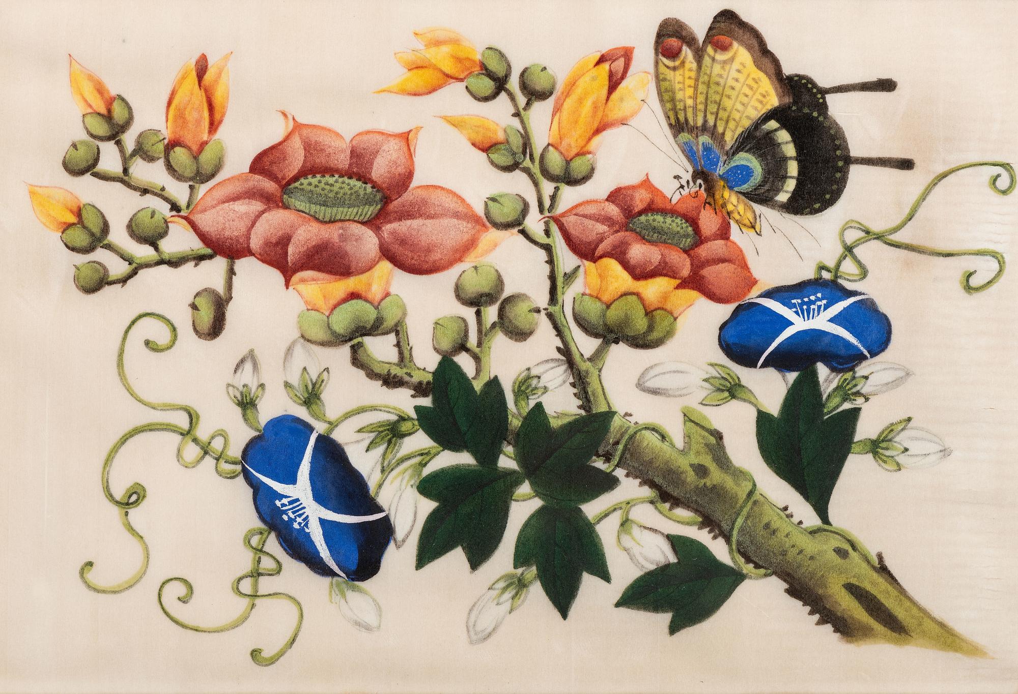 Three Chinese Pith Paintings of Butterflies and Flowers