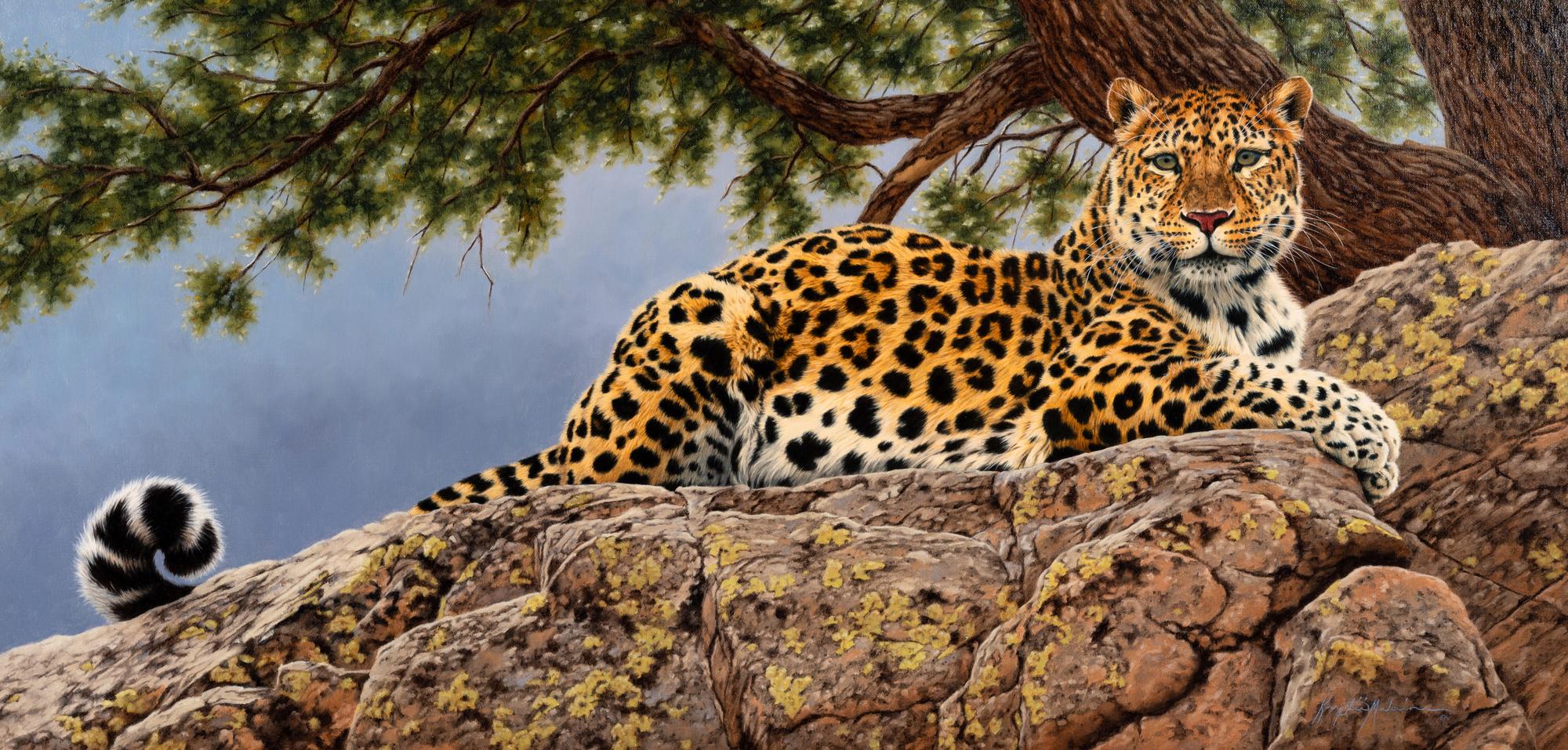Lair of the Cat - Leopard