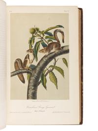 AUDUBON, John James (1785-1851) and John BACHMAN (1790-1874). The Quadrupeds of North America . New York: V.G. Audubon, 1849, 1851, 1854.