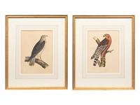 A Set of Six Hand-Colored Pacific Raiload Survey Falcon Engravings