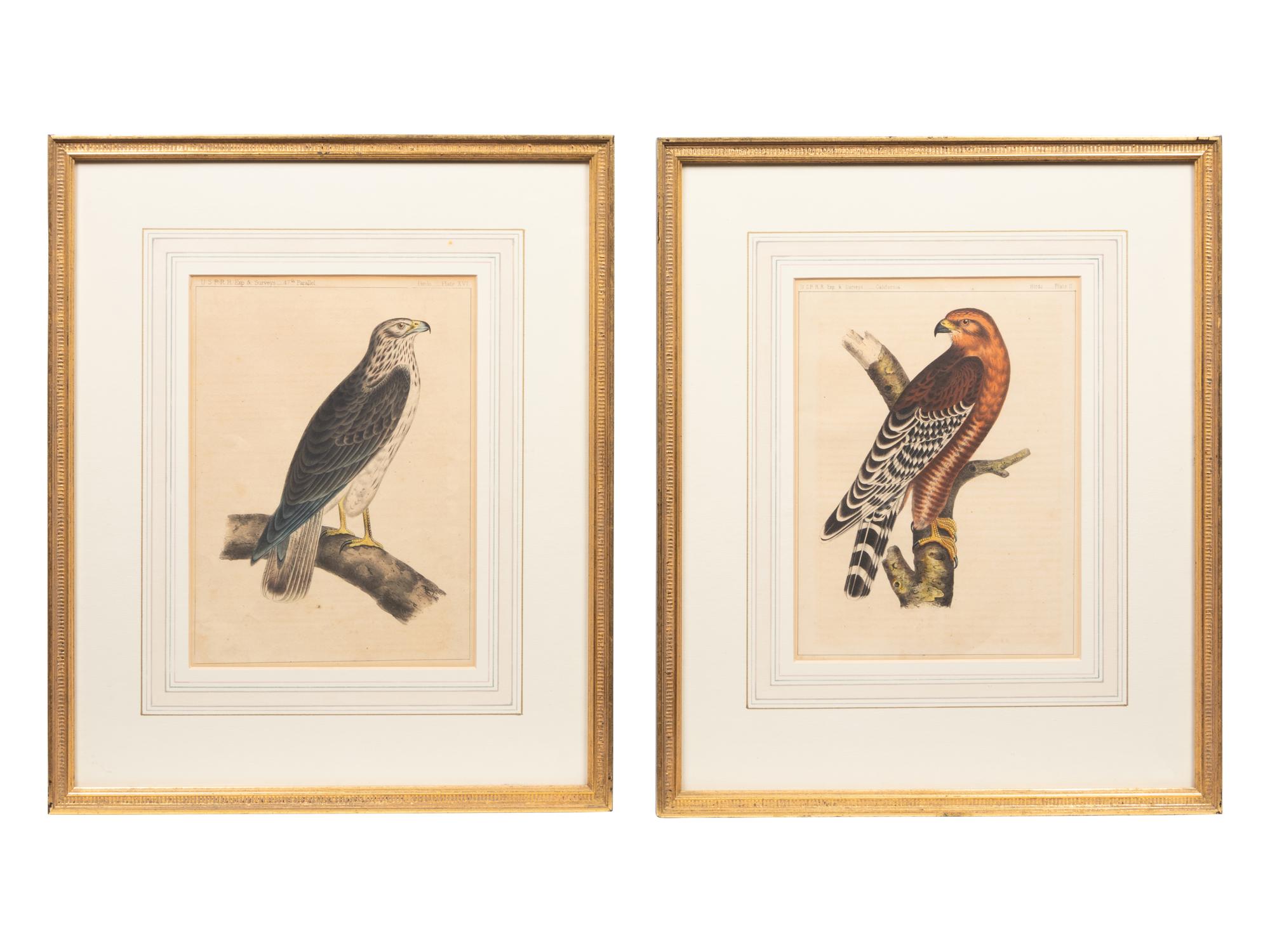 A Set of Six Hand-Colored Pacific Raiload Survey Falcon Engravings