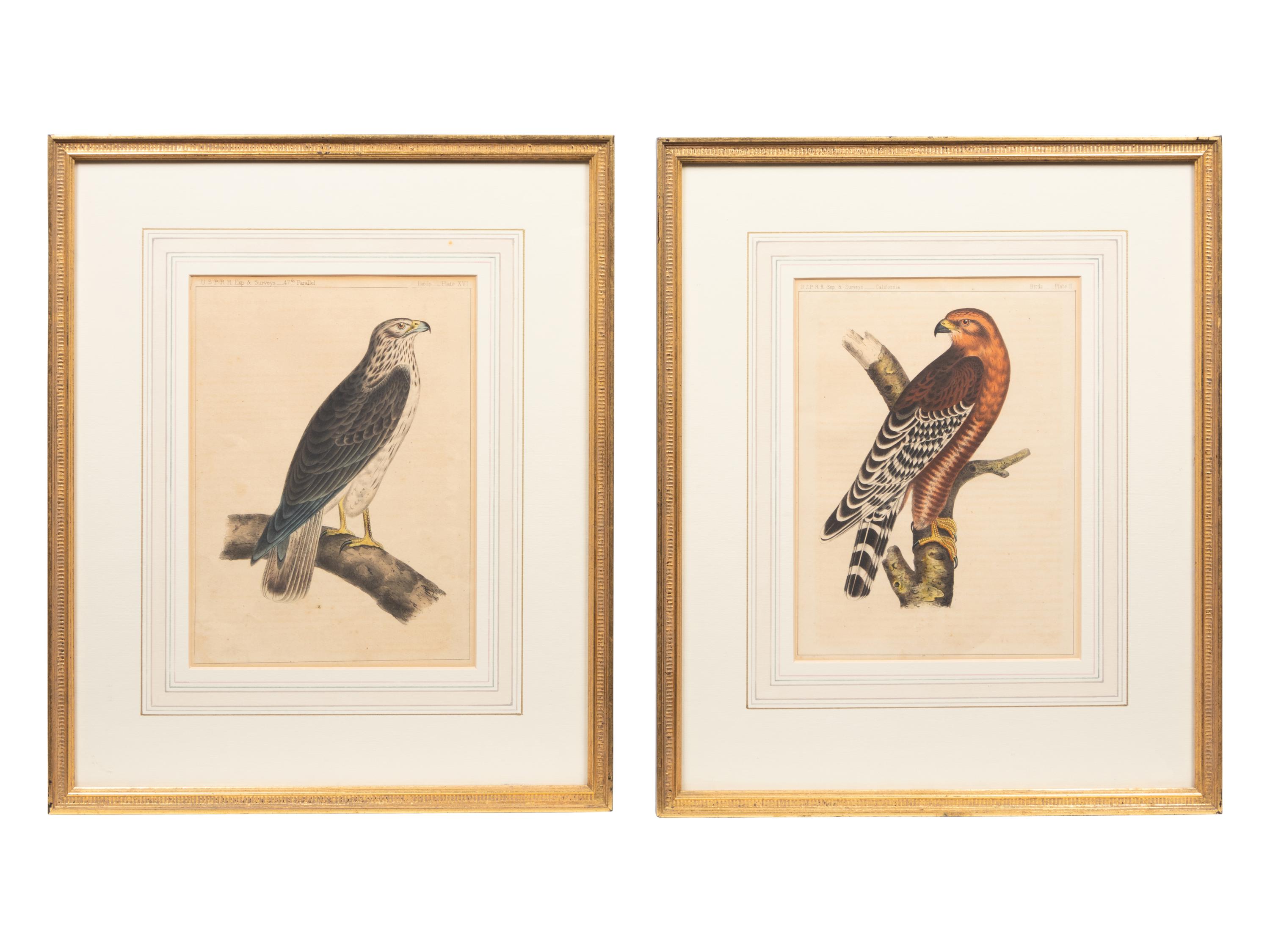 A Set of Six Hand-Colored Pacific Raiload Survey Falcon Engravings