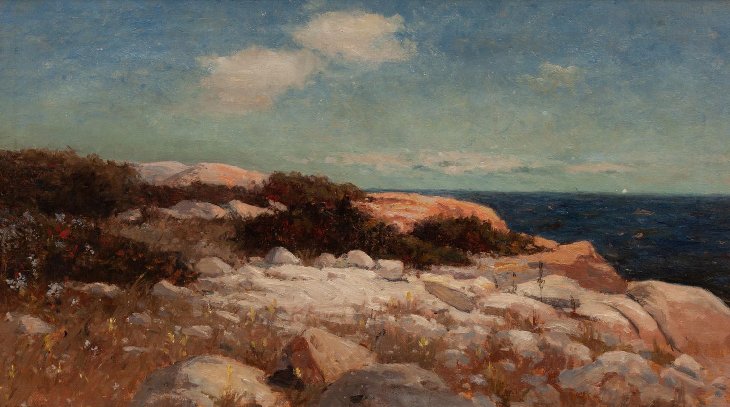 Seaside Landscape