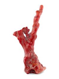A Red Coral Specimen