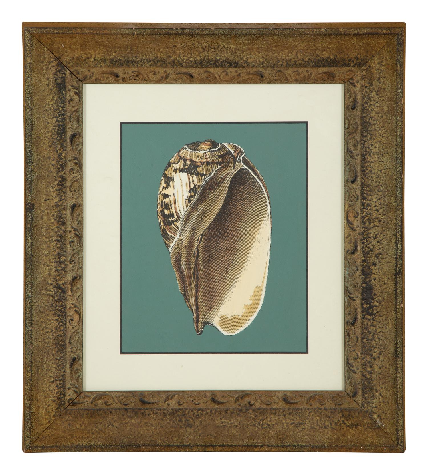 A Pair of Framed Serigraphs of Seashells