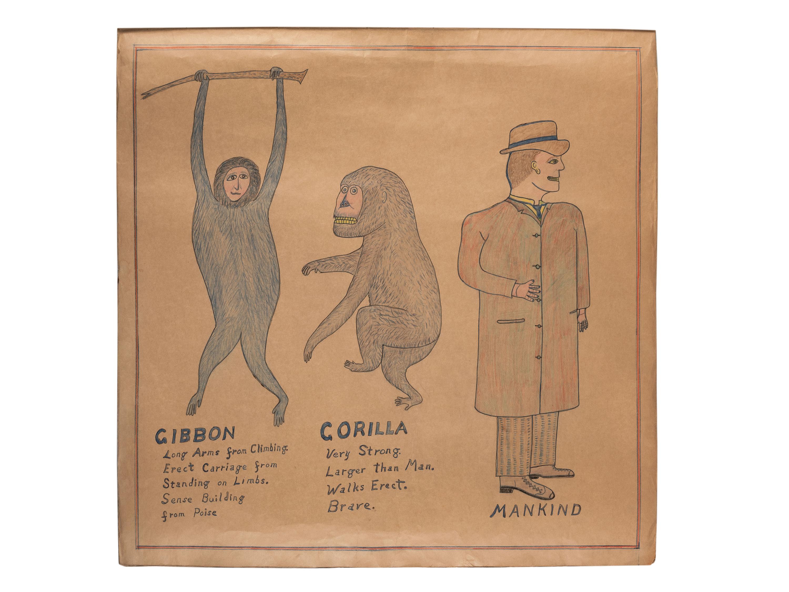 A Bound Set of Folk Art Scientific Drawings