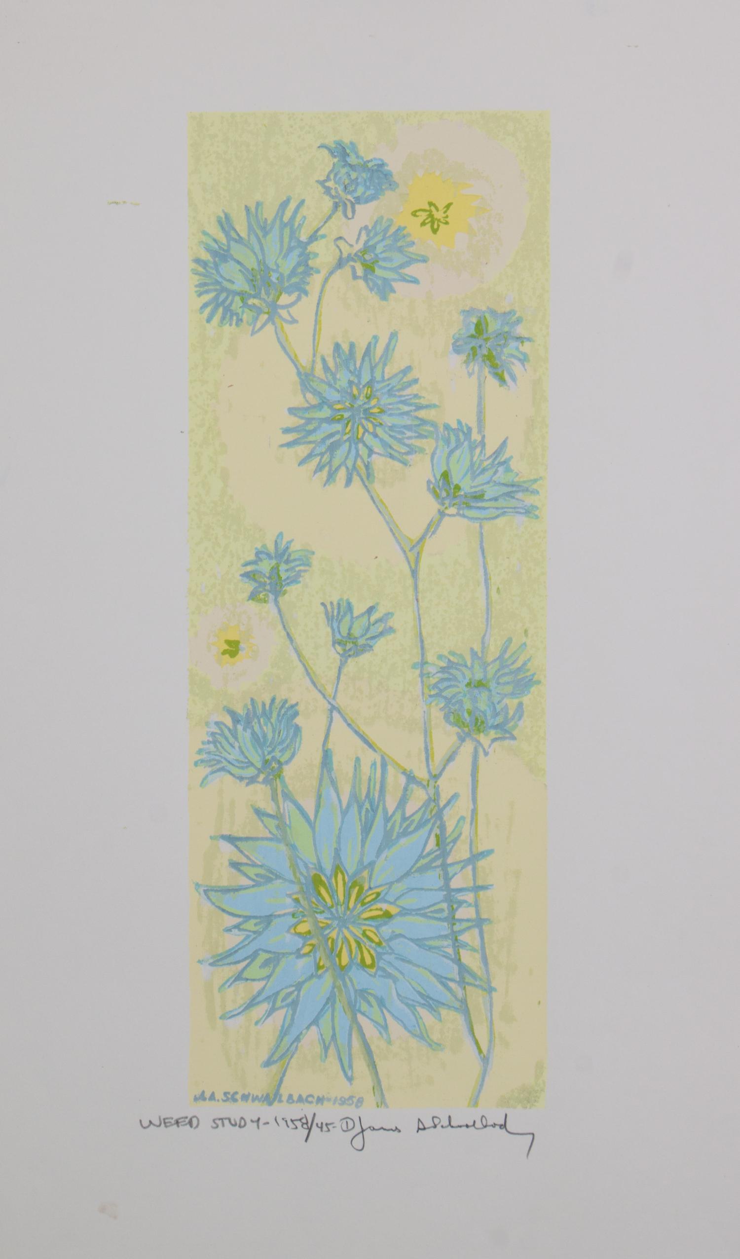 James Schwalbach, (Wisconsin, b. 1912), Weed Study, 1958 (a suite of twelve works)