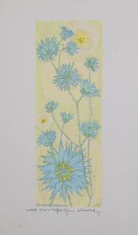 James Schwalbach, (Wisconsin, b. 1912), Weed Study, 1958 (a suite of twelve works)