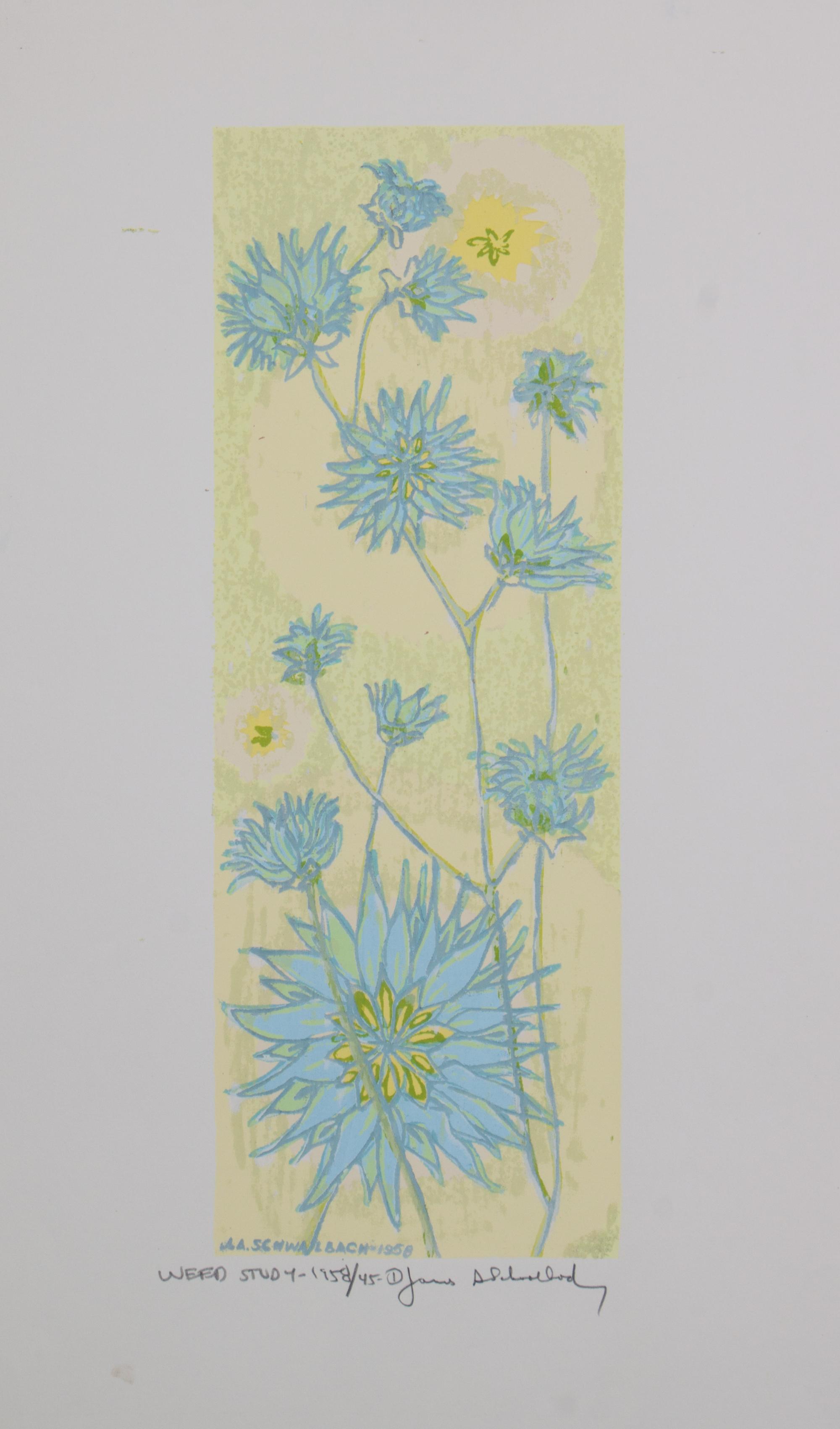 James Schwalbach, (Wisconsin, b. 1912), Weed Study, 1958 (a suite of twelve works)