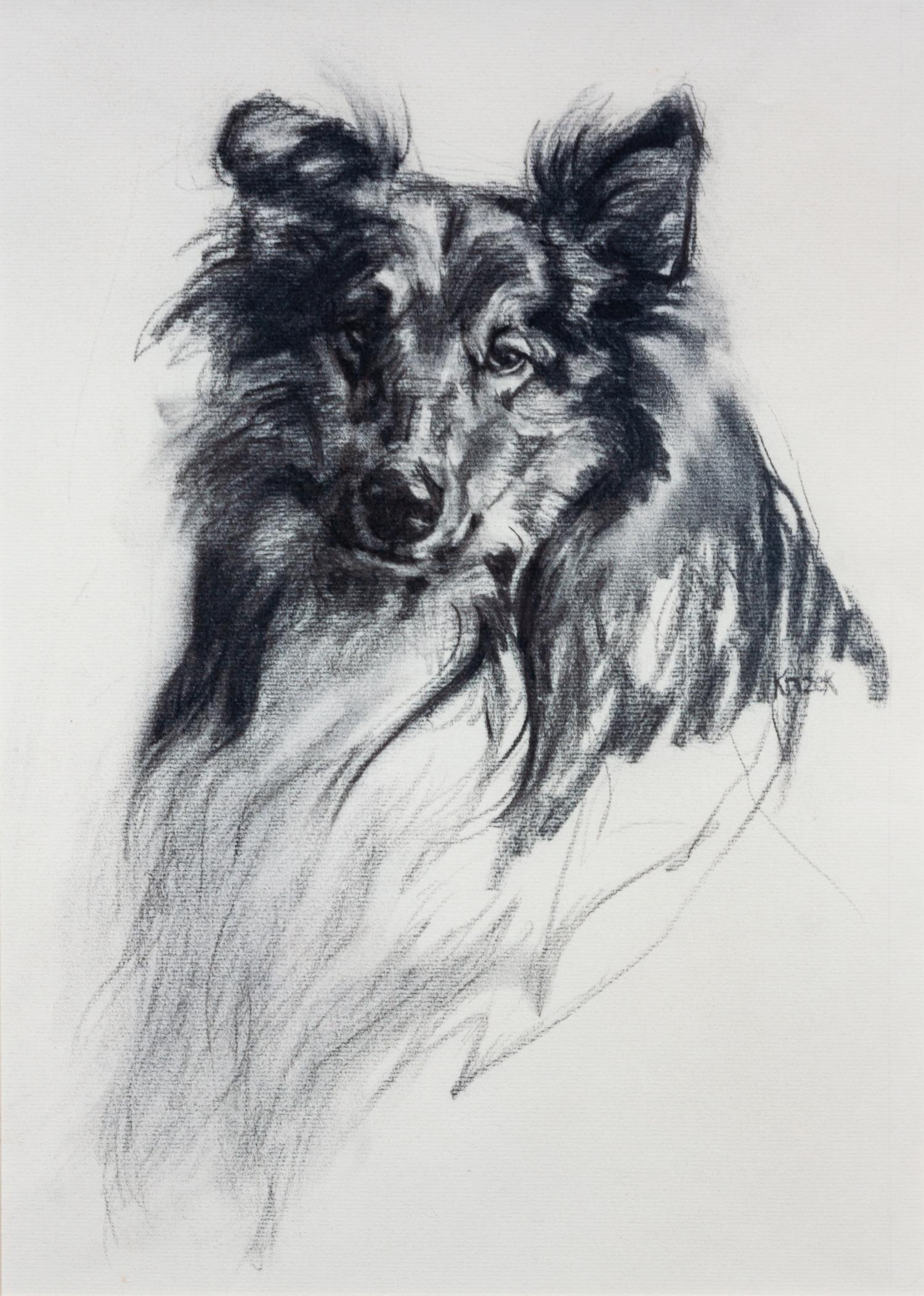 Three Works of Art depicting Shetland Sheepdogs Largest: 17 x 12 inches.