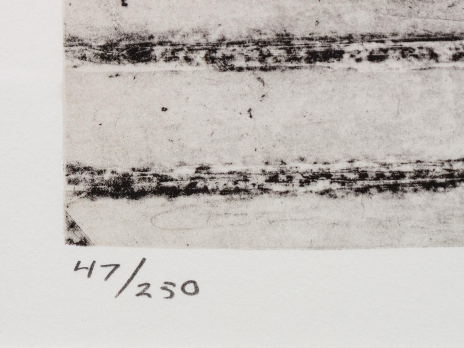 Untitled (from Harvey Gantt Portfolio )