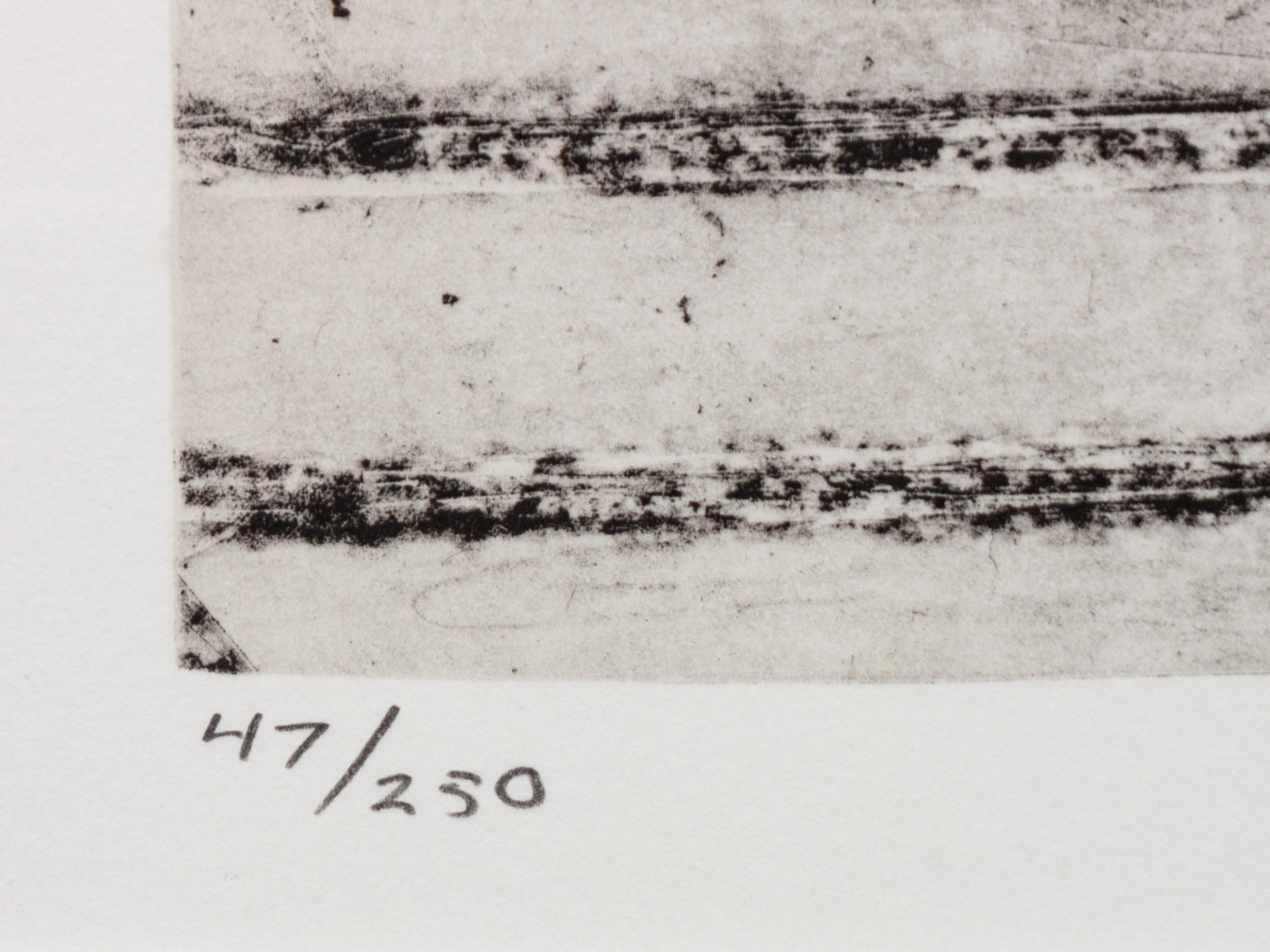 Untitled (from Harvey Gantt Portfolio )
