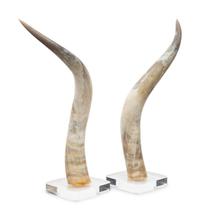 A Large Pair of Steer Horns
