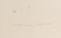Subterrachial Bop Boop (Subterrainien Bop Boop)