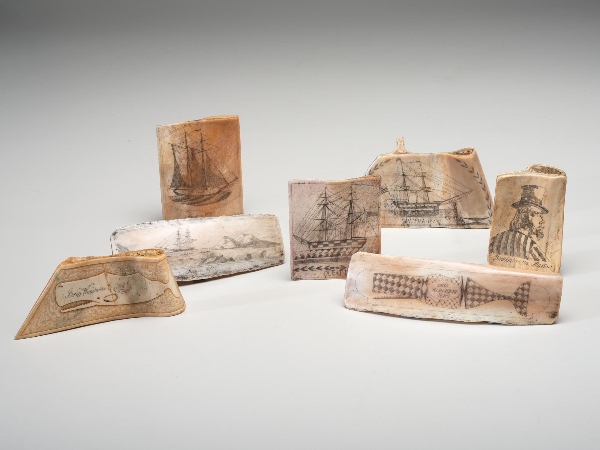 Seven Pieces of Modern Scrimshaw