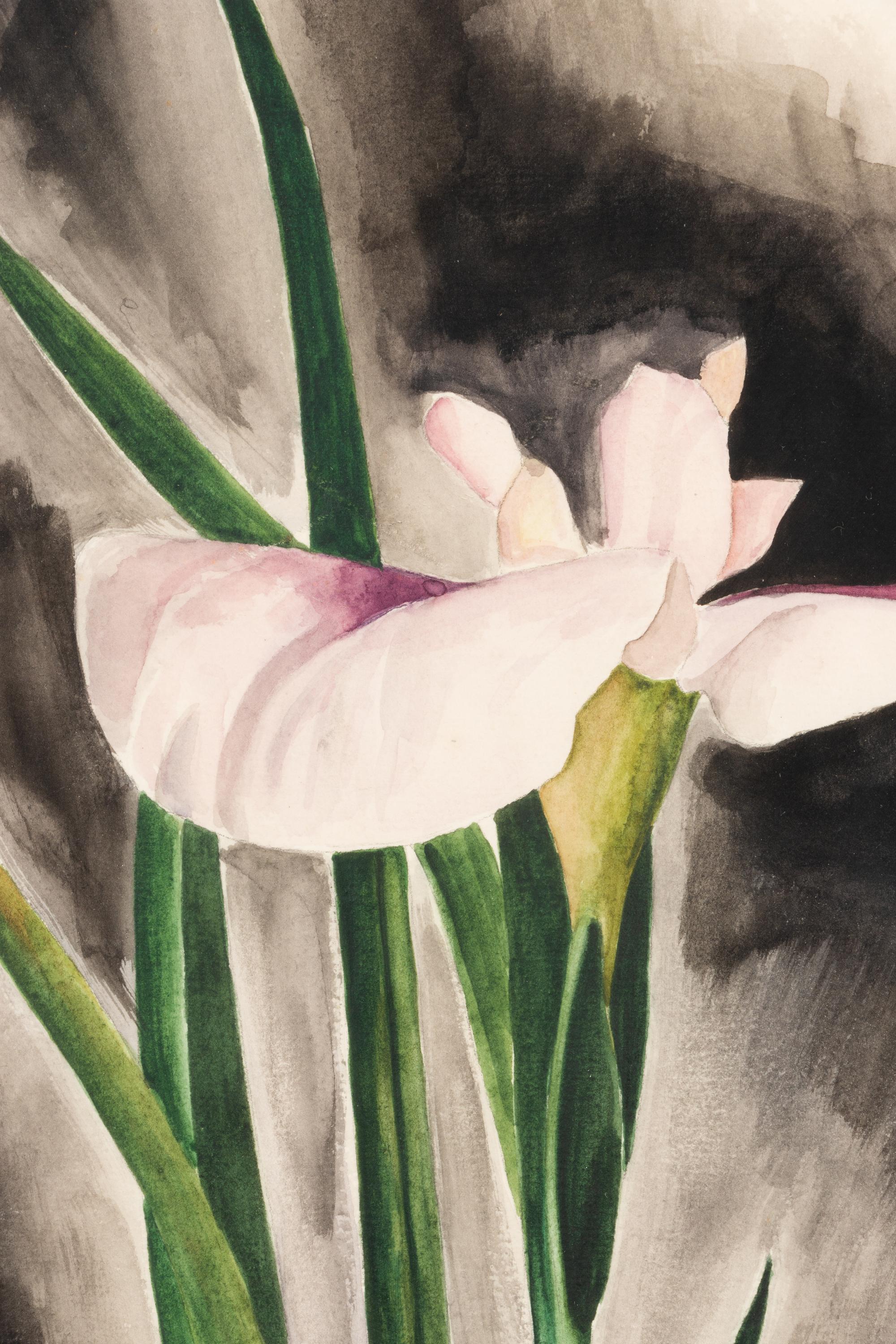 Japanese Iris