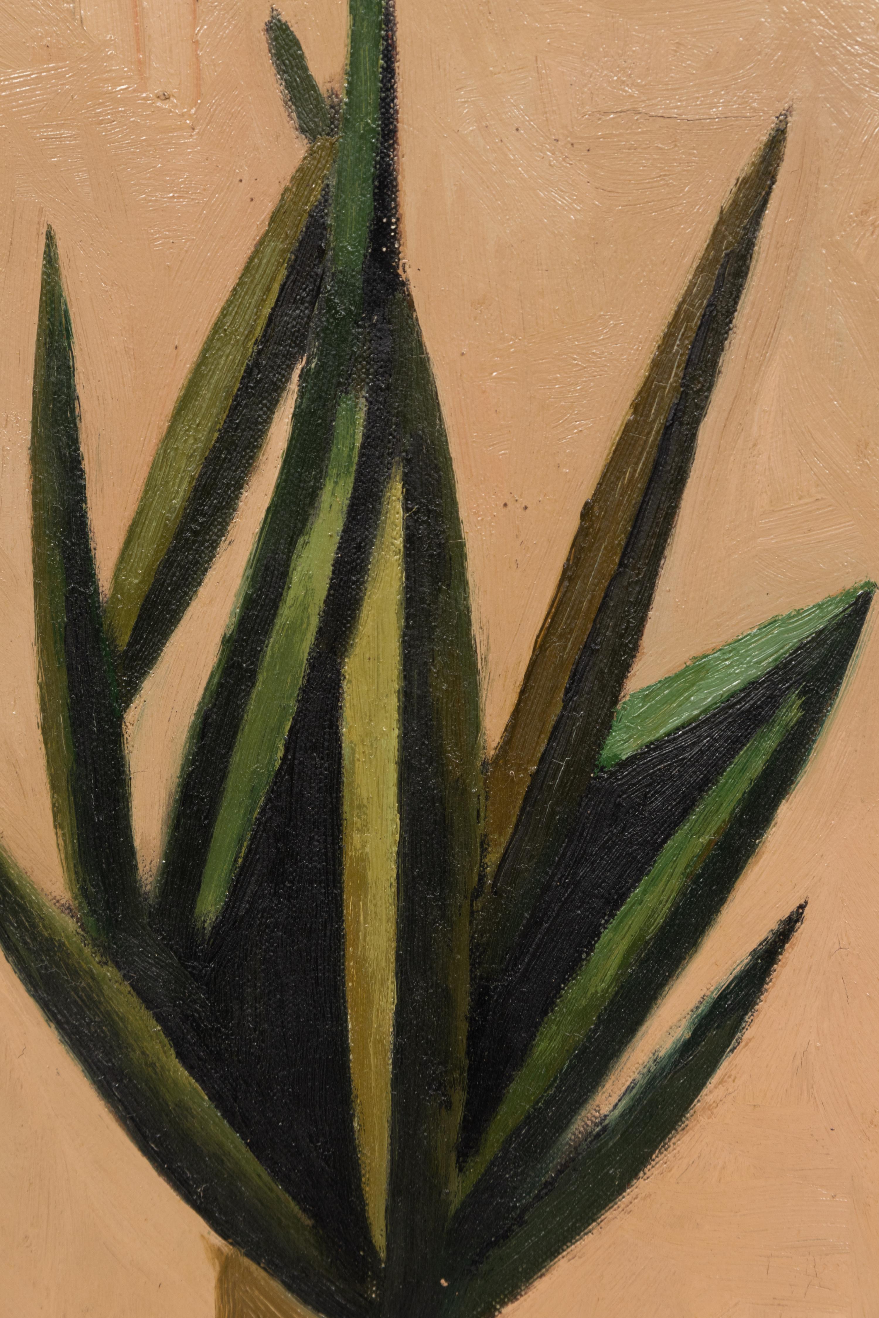 Plante Grasse