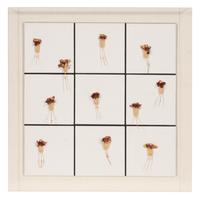 Tiles + Dried Flowers , 1996
