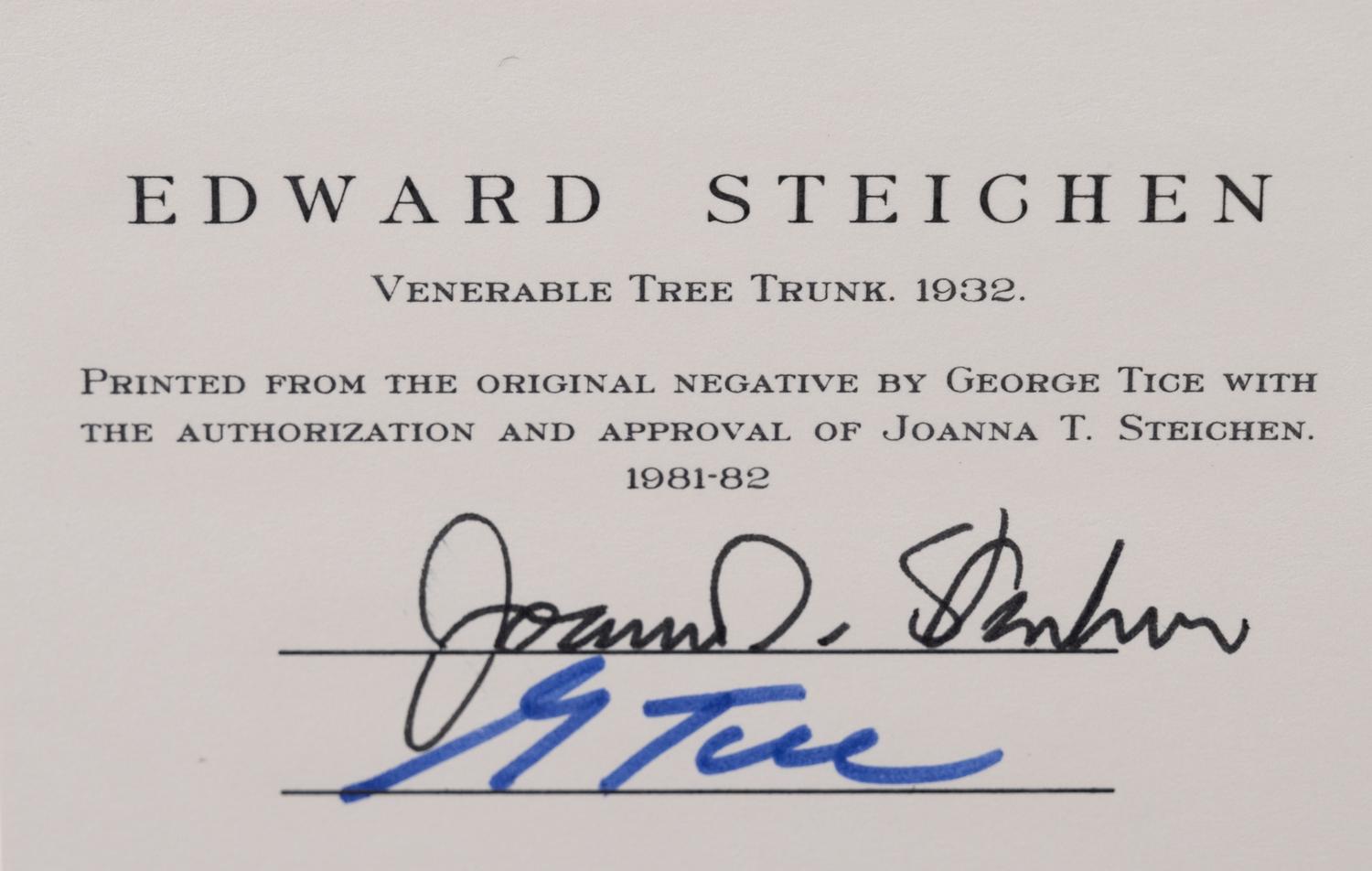 A group of twenty-one photographs (from Twenty-five Photographs printed by George Tice with labels signed by George Tice and Joanna Steichen)