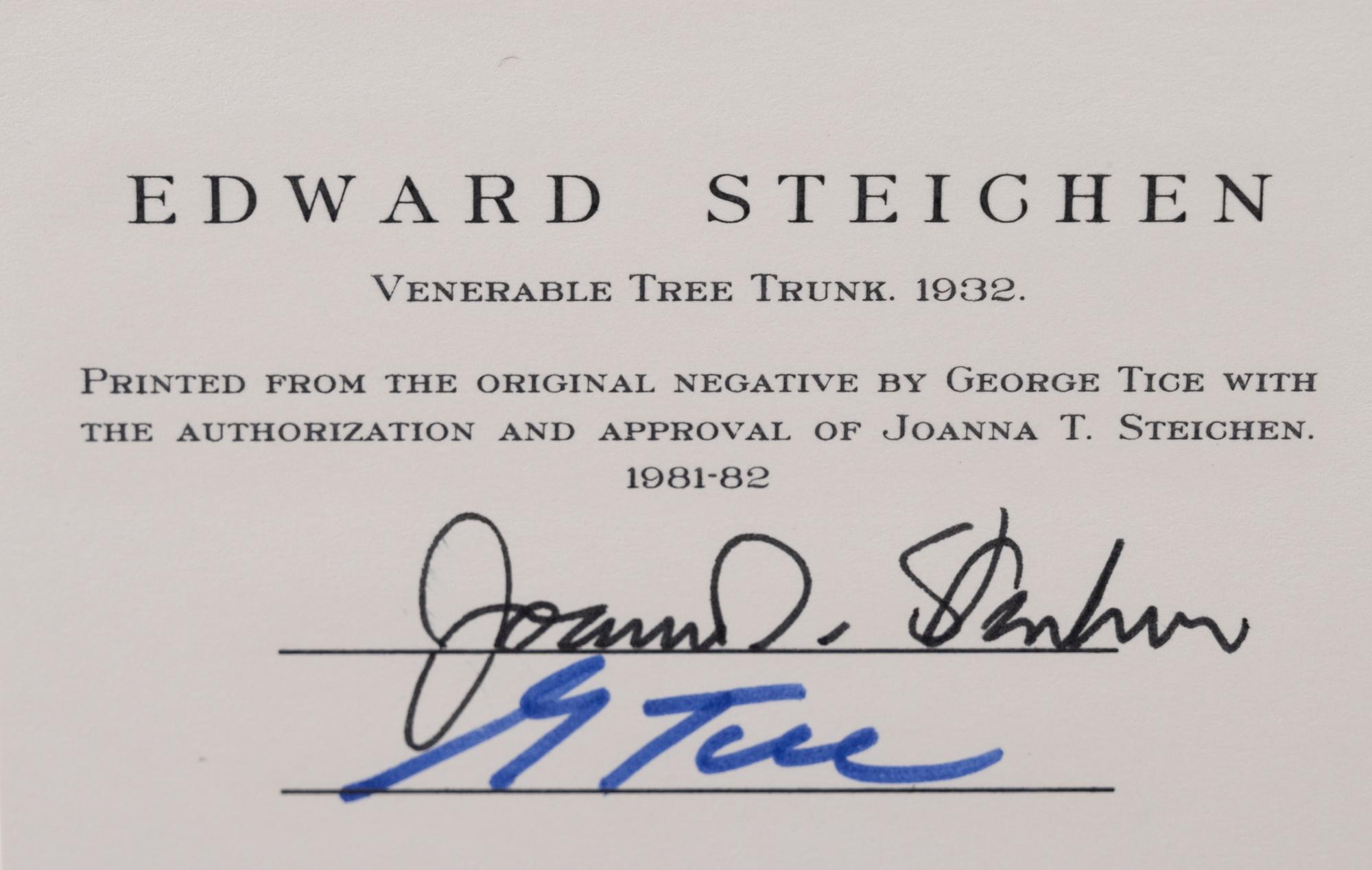 A group of twenty-one photographs (from Twenty-five Photographs printed by George Tice with labels signed by George Tice and Joanna Steichen)