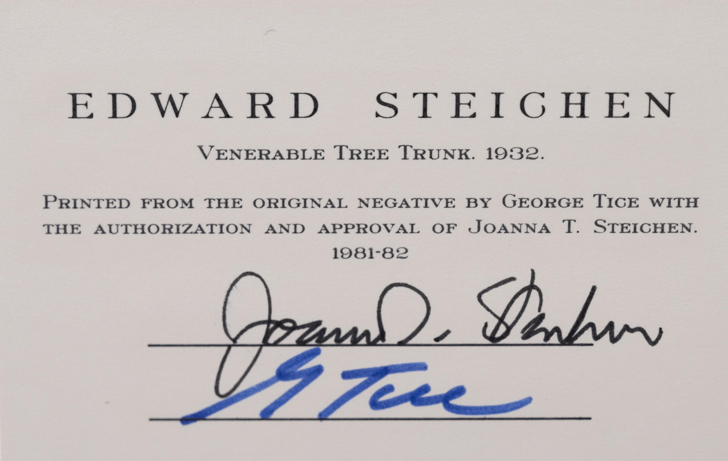 A group of twenty-one photographs (from Twenty-five Photographs printed by George Tice with labels signed by George Tice and Joanna Steichen)