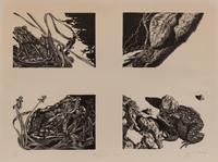 Conspiracy Portfolio (incomplete set of 11 prints with book)
