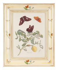 Three Butterfly and Botanical Prints — 20TH CENTURY