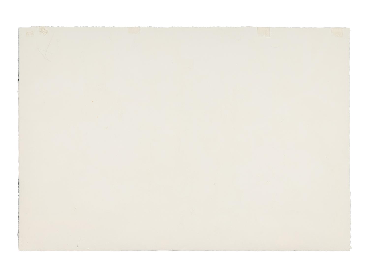 Anemones with Checks I , 1979