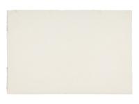 Anemones with Checks I , 1979