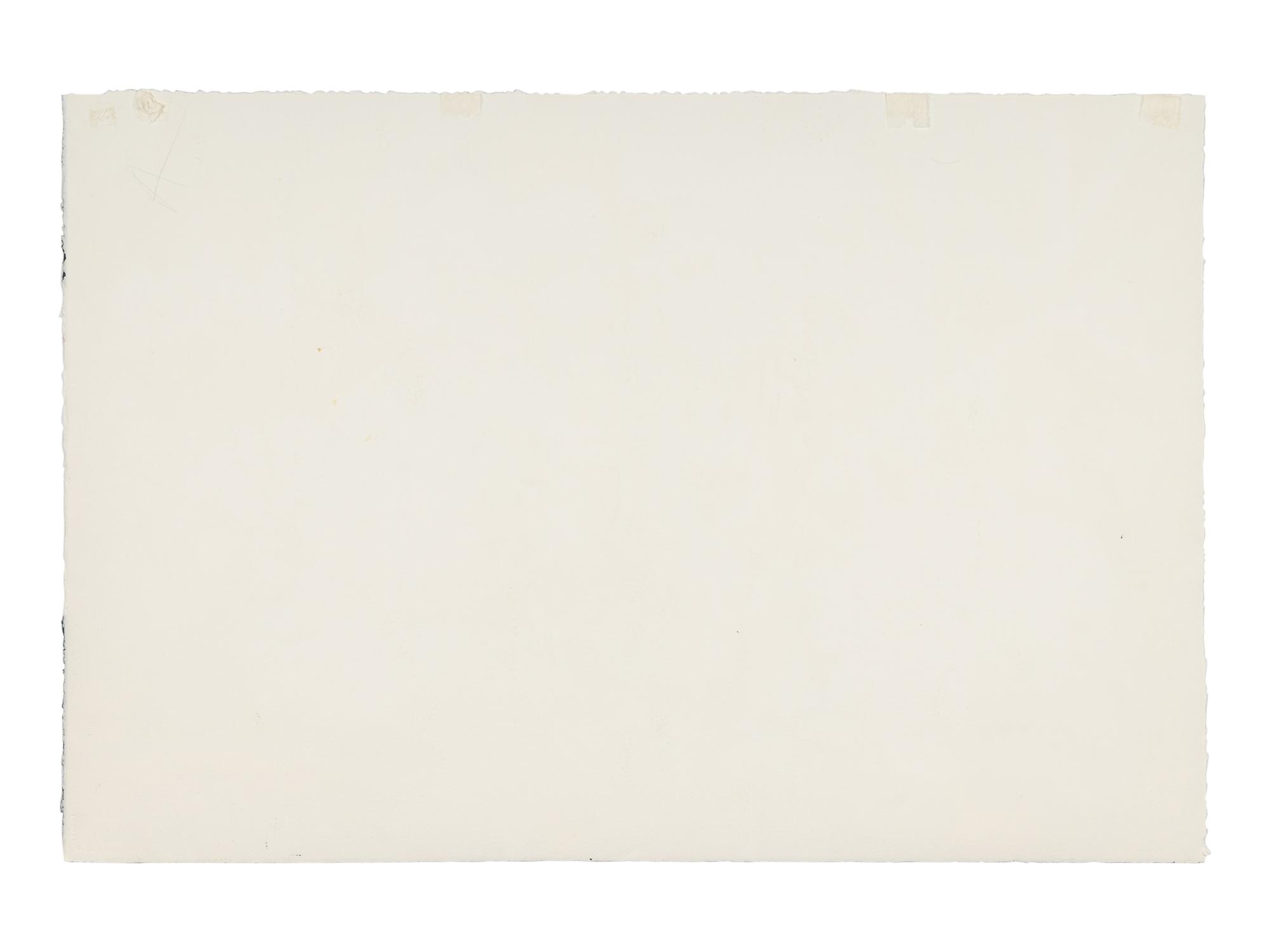 Anemones with Checks I , 1979
