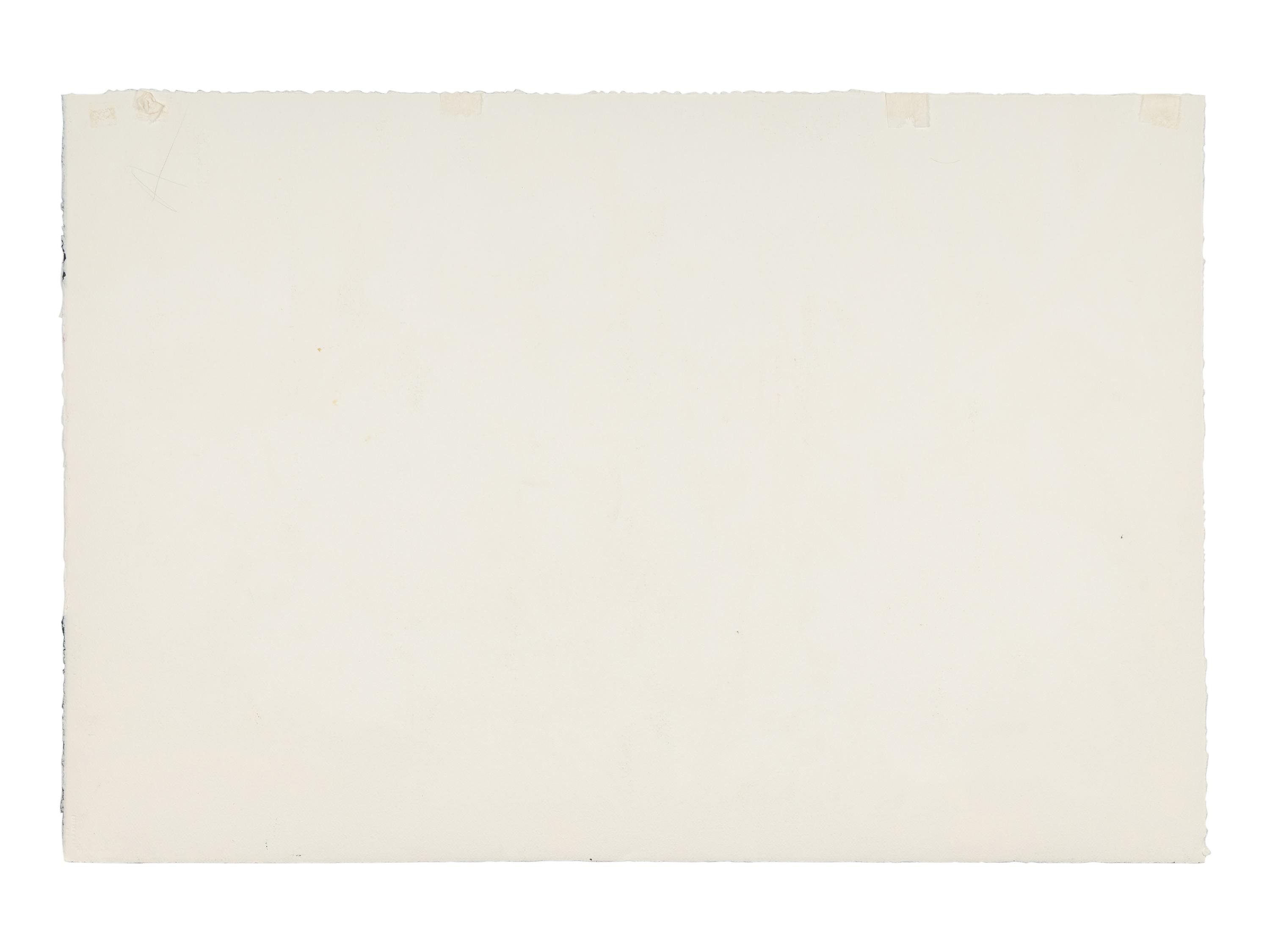 Anemones with Checks I , 1979