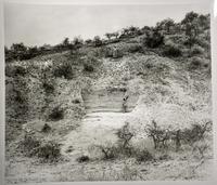 An Oldowan Stone Pebble Tool from Olduvai Gorge