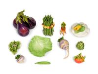 A Collection of Eleven Ceramic Vegetables