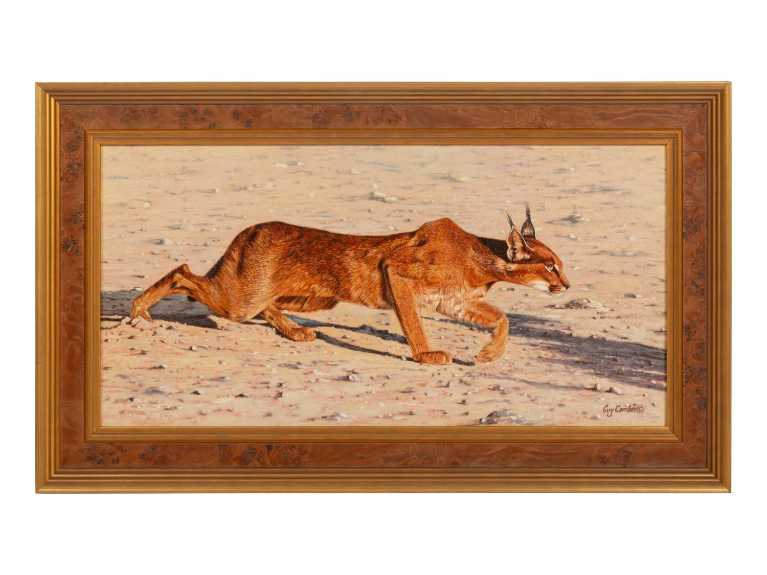 Caracal Study