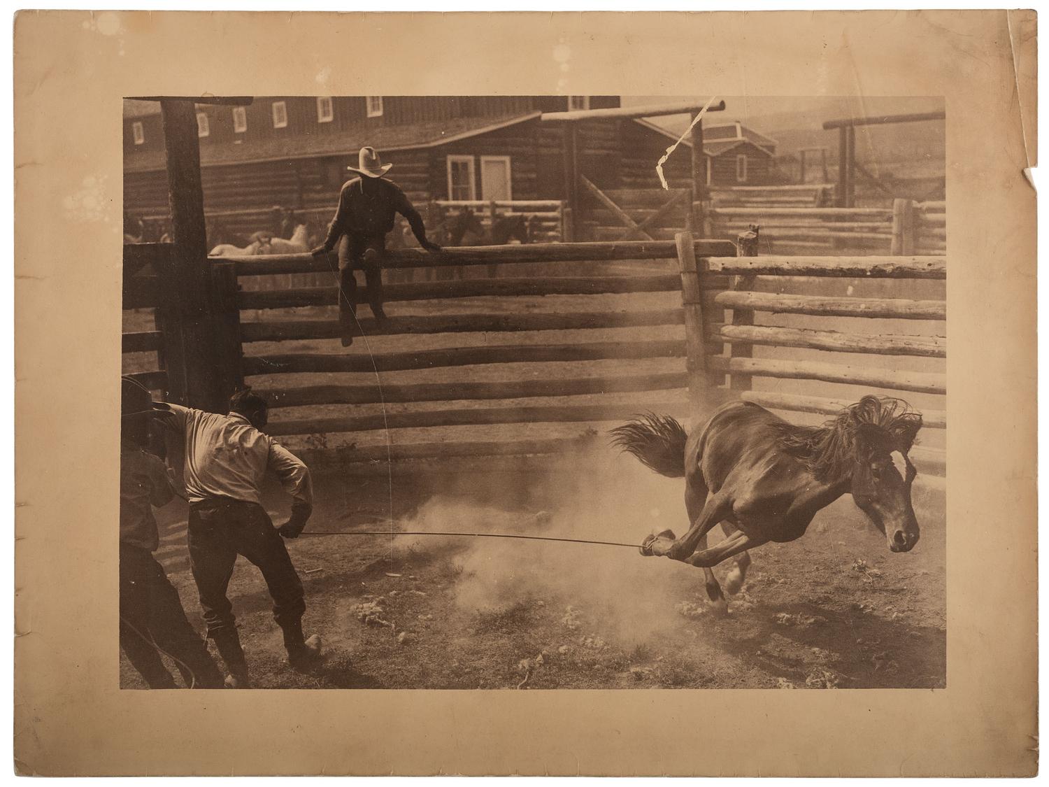 [WESTERN AMERICANA]. BELDEN, Charles J. (1888-1963), photographer. Silver gelatin photograph of a cowboy roping a horse. Pitchfork, WY, ca 1920s-1930s.