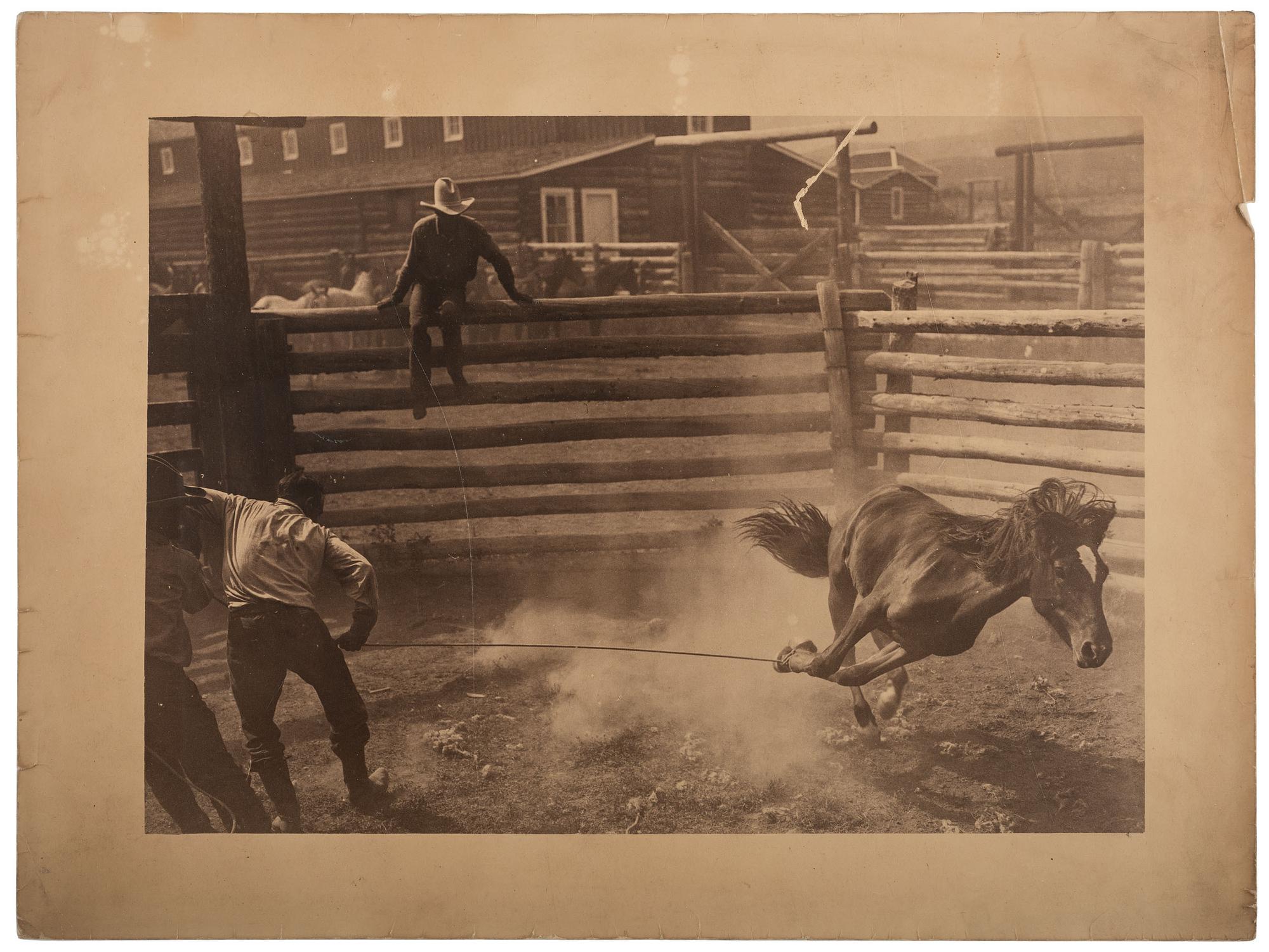 [WESTERN AMERICANA]. BELDEN, Charles J. (1888-1963), photographer. Silver gelatin photograph of a cowboy roping a horse. Pitchfork, WY, ca 1920s-1930s.