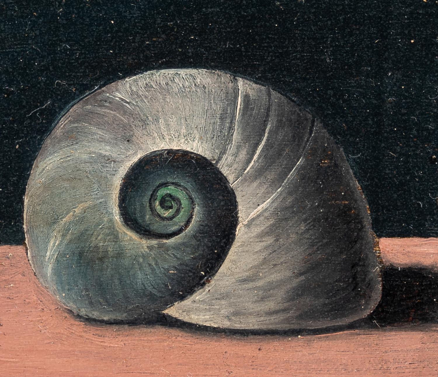 Shell