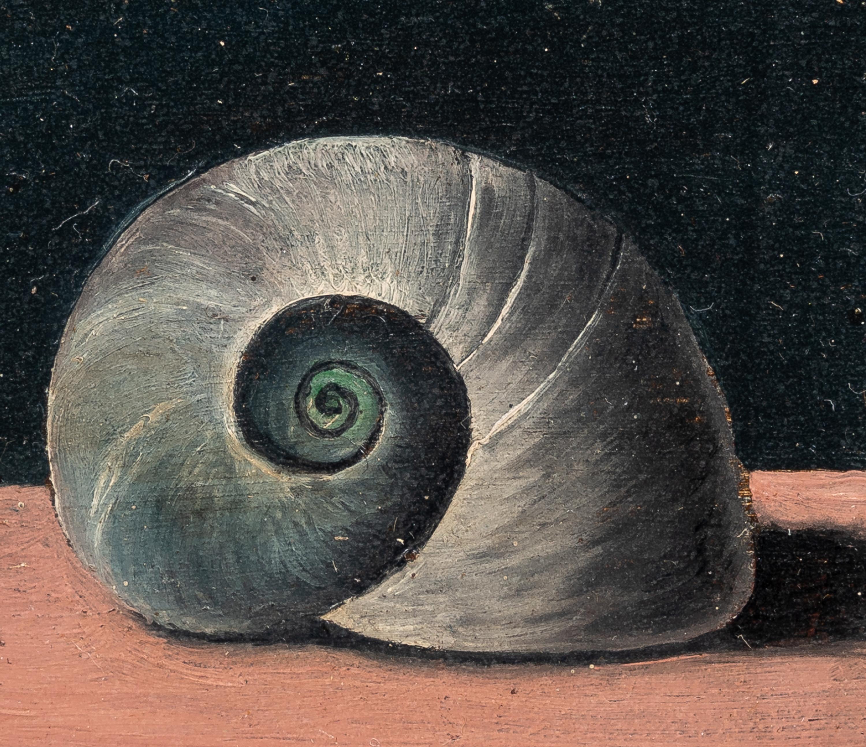 Shell