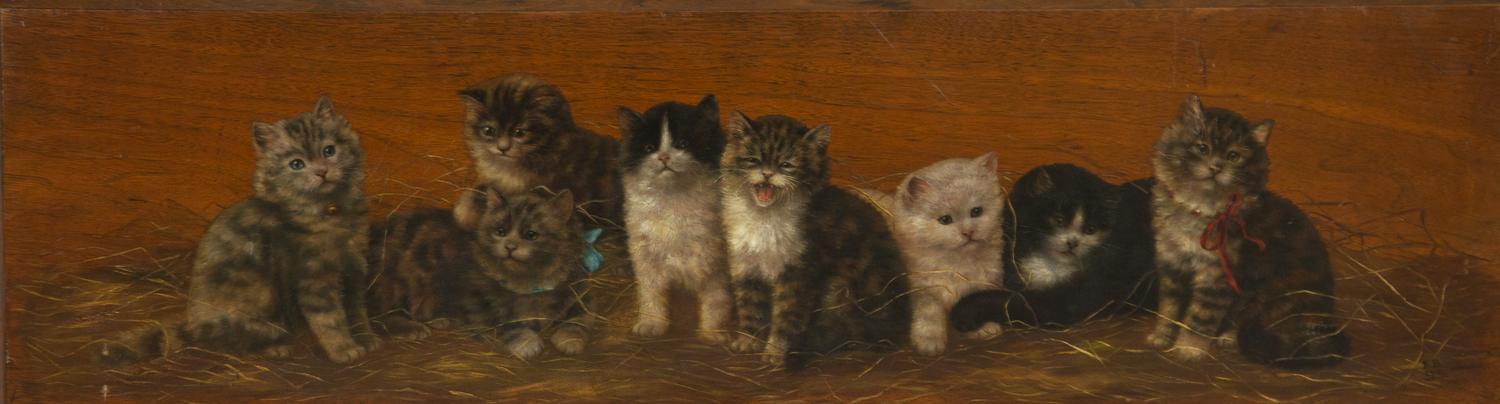 A Row of Eight Kittens , 1911