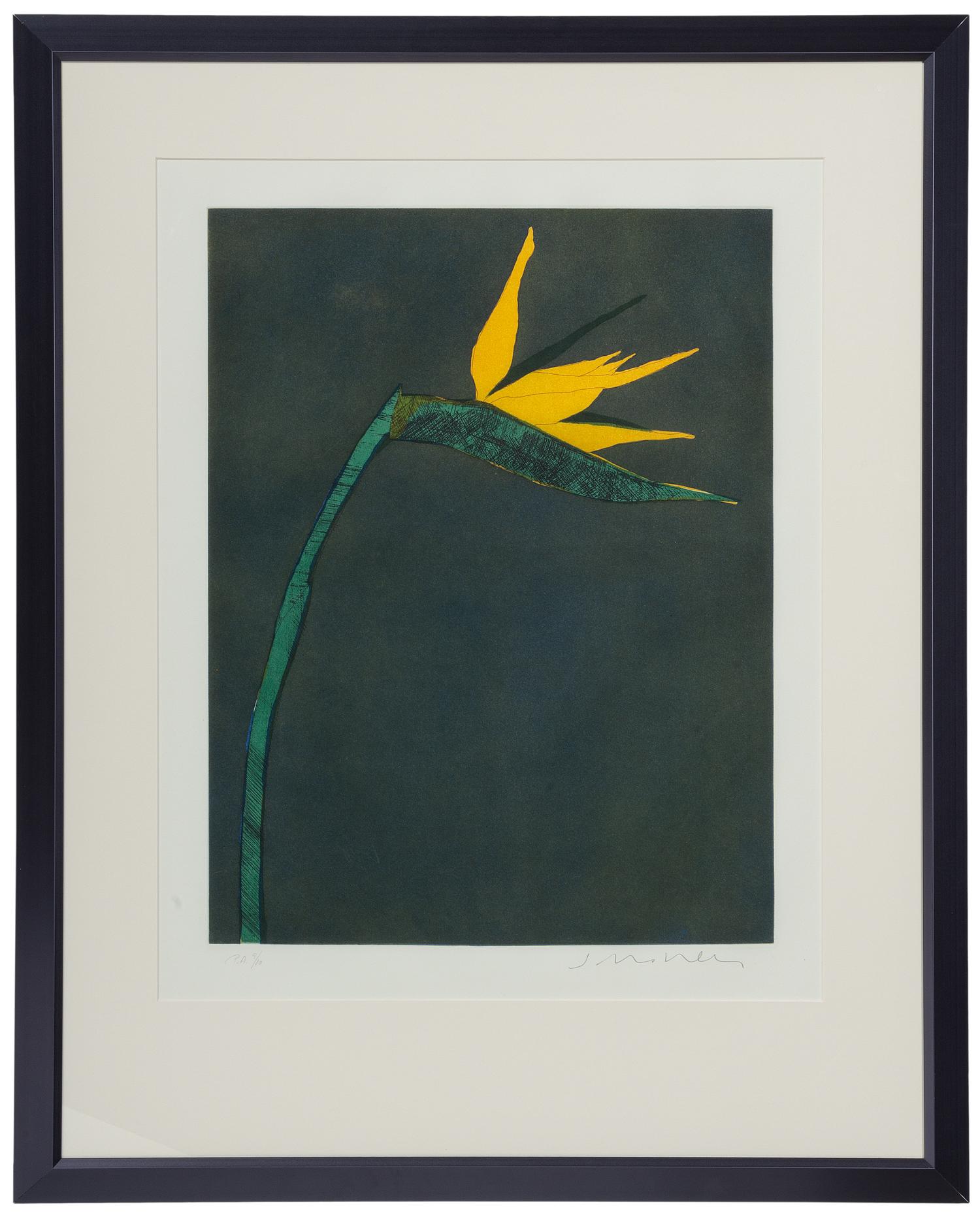 Flower at Barcelona , P.A. 9/10