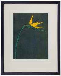 Flower at Barcelona , P.A. 9/10