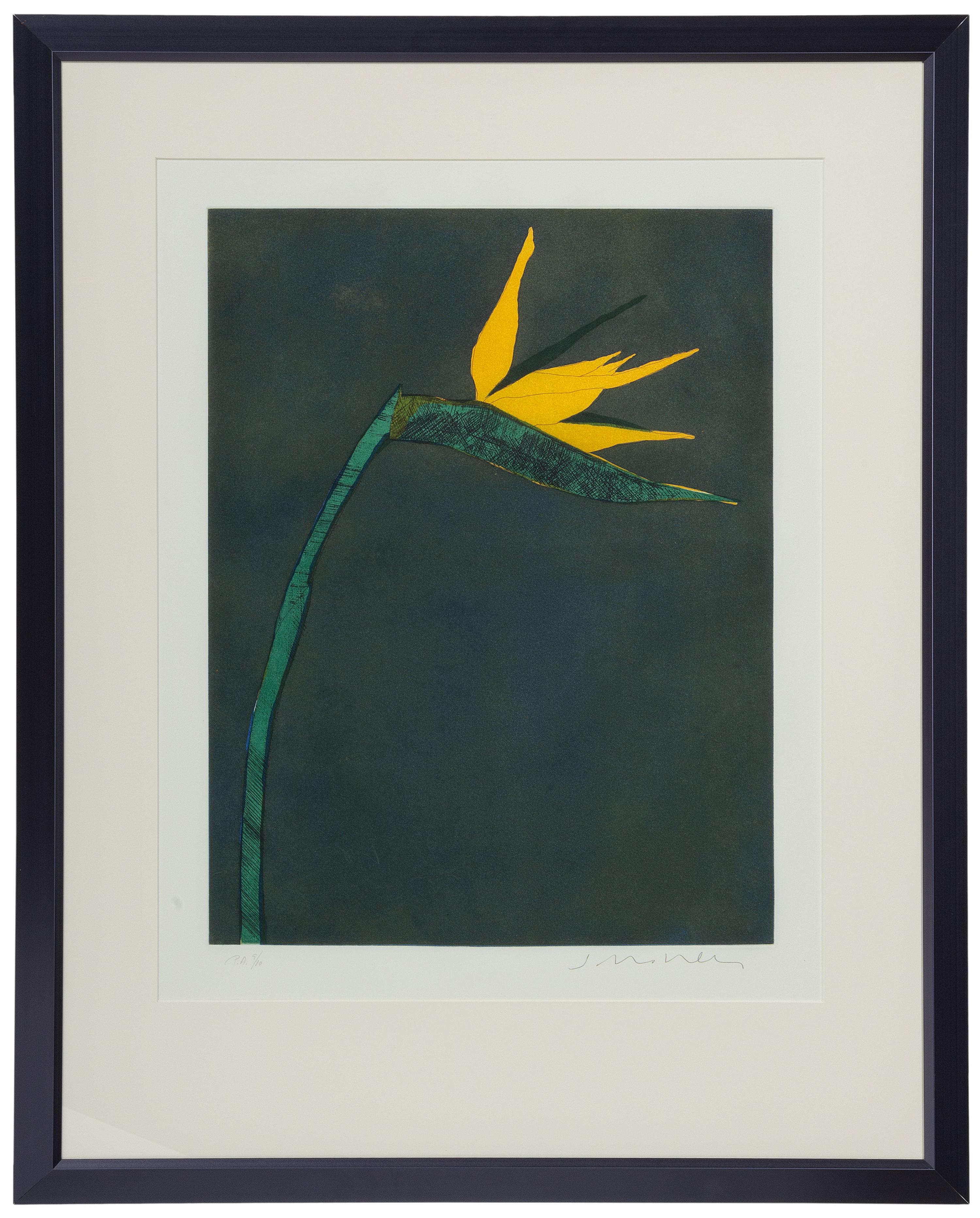 Flower at Barcelona , P.A. 9/10