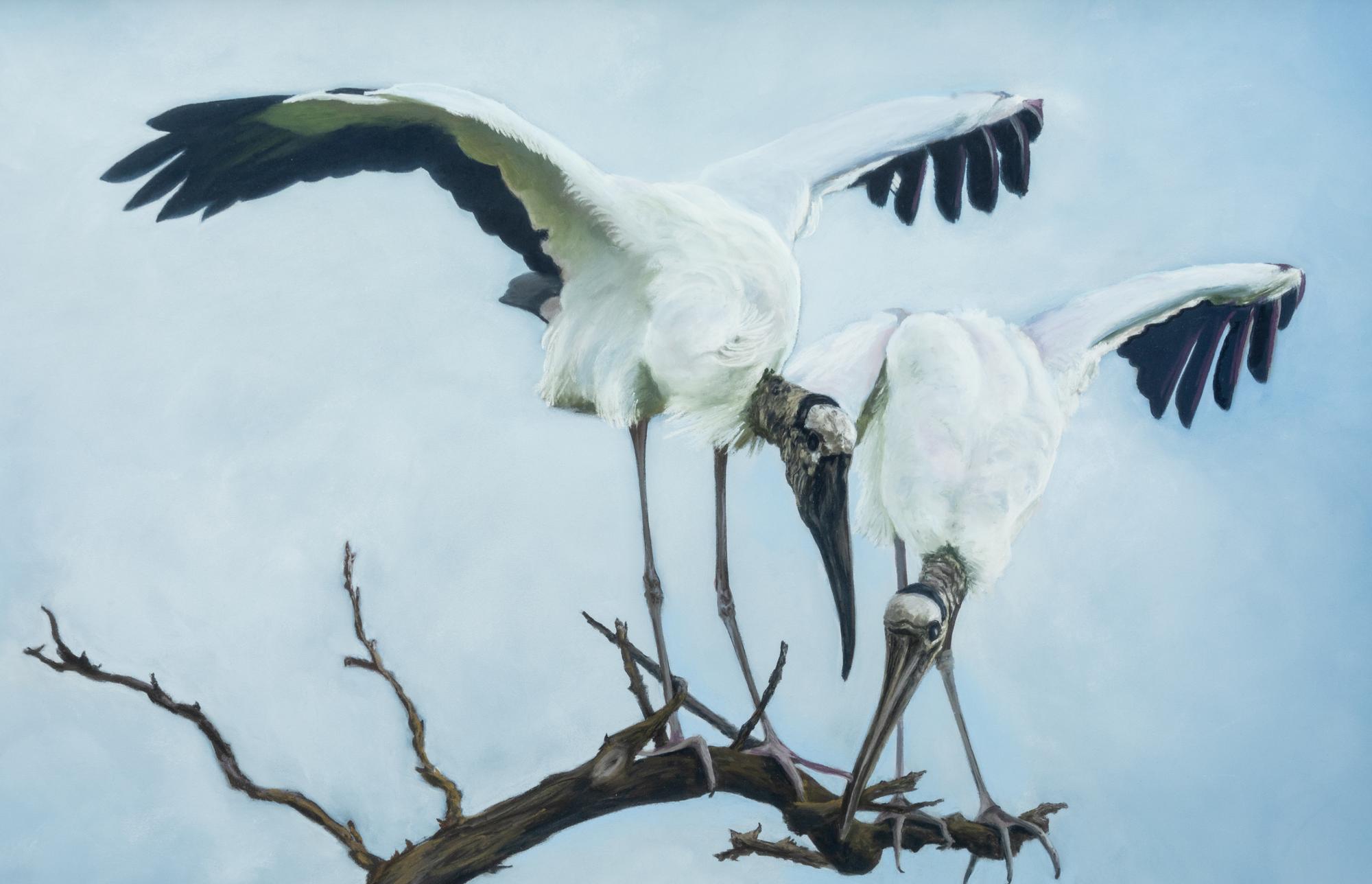 Woodstork Inspection , 2010